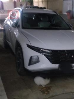 هیۆندای تۆکسۆن